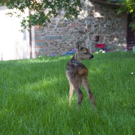 I Gelsi Casa rural *